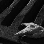 Dlaczego zlew zatyka się przy myciu naczyń – diagnoza